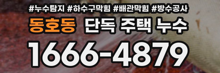 동호동 단독 주택 누수