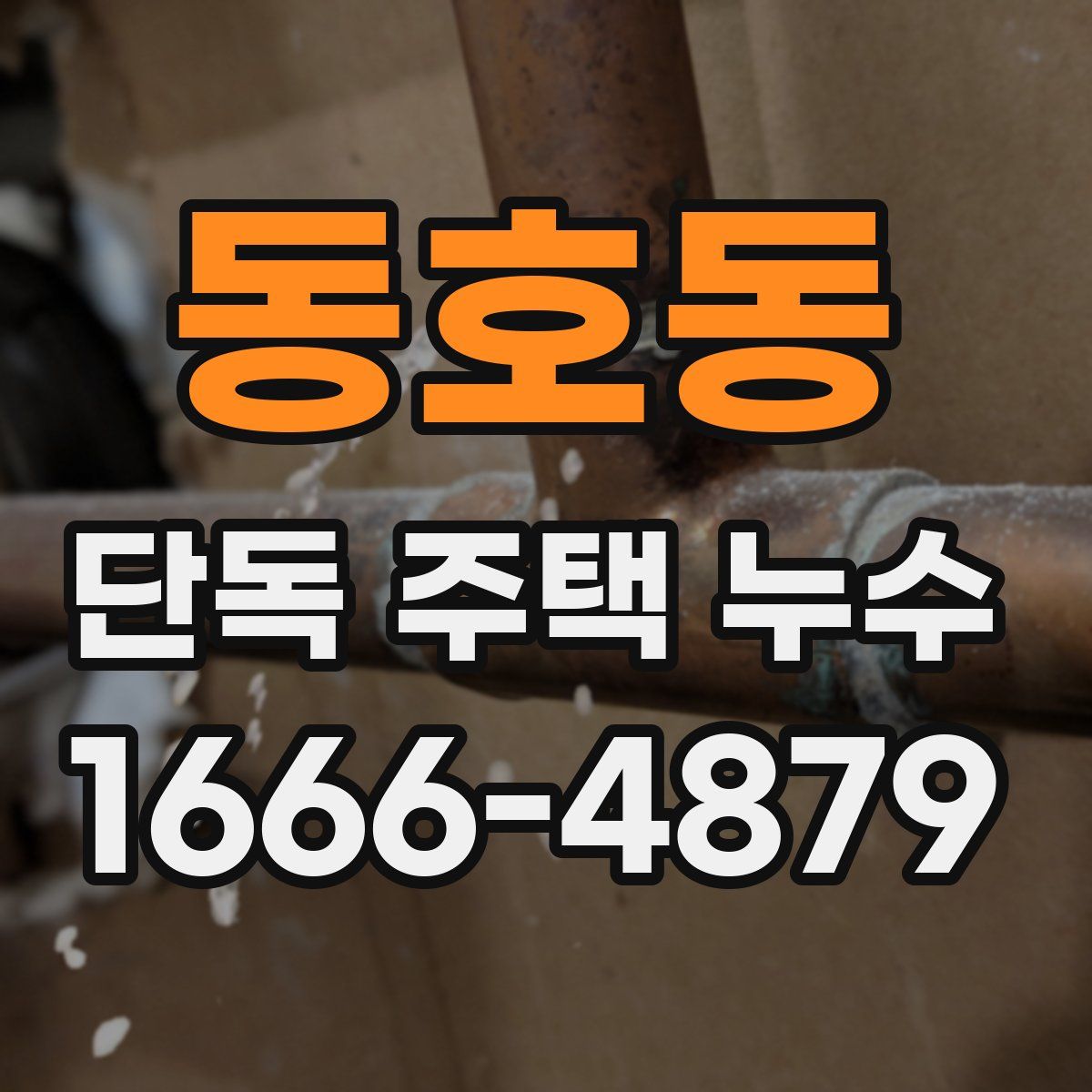 동호동 단독 주택 누수