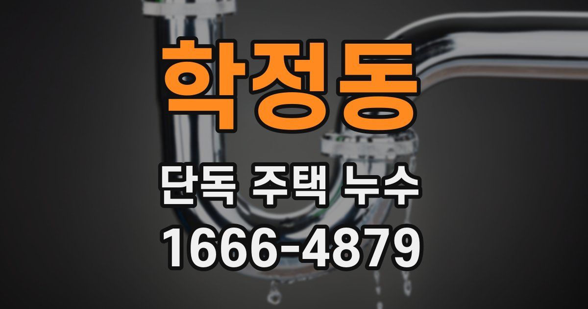 학정동 단독 주택 누수