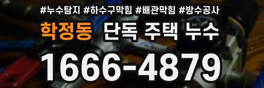 학정동 단독 주택 누수