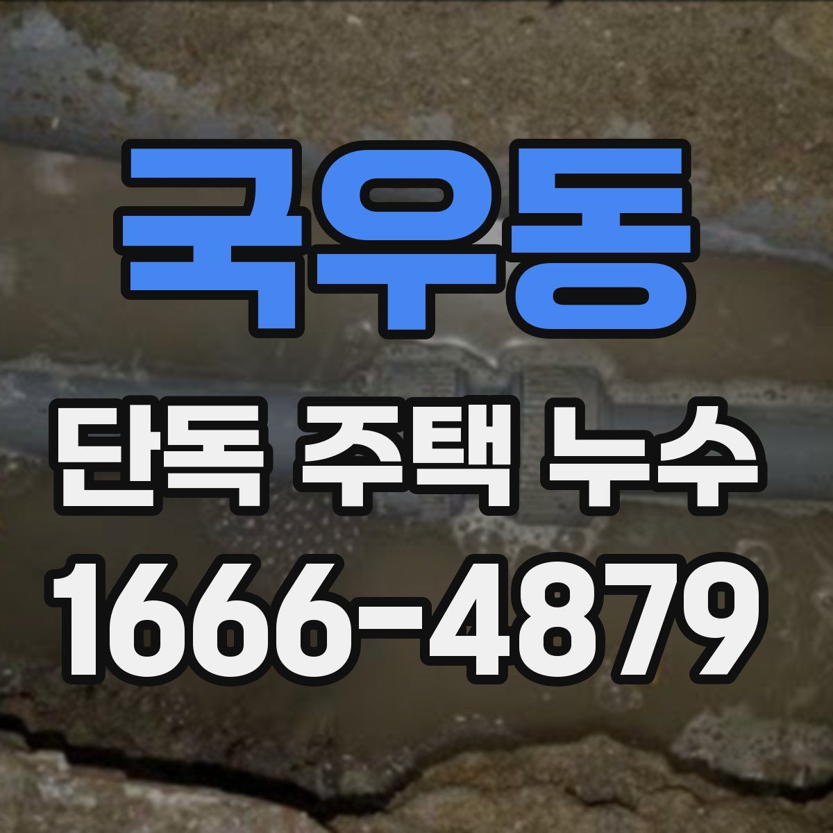 국우동 단독 주택 누수