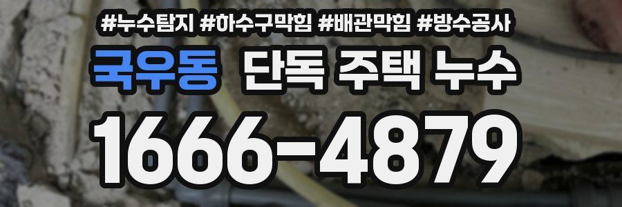 국우동 단독 주택 누수