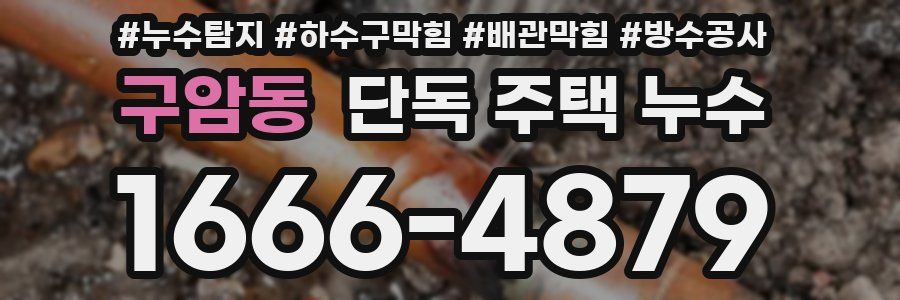 구암동 단독 주택 누수
