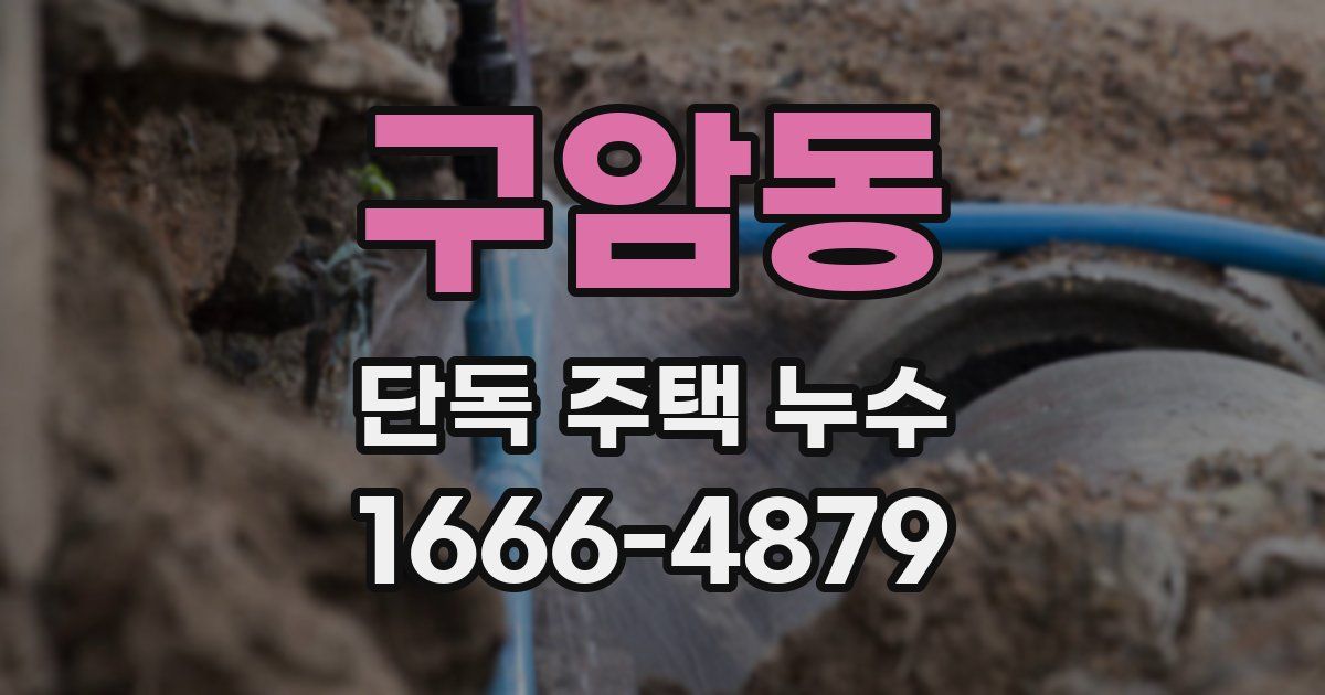 구암동 단독 주택 누수