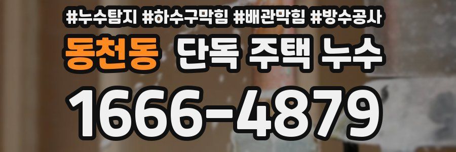 동천동 단독 주택 누수