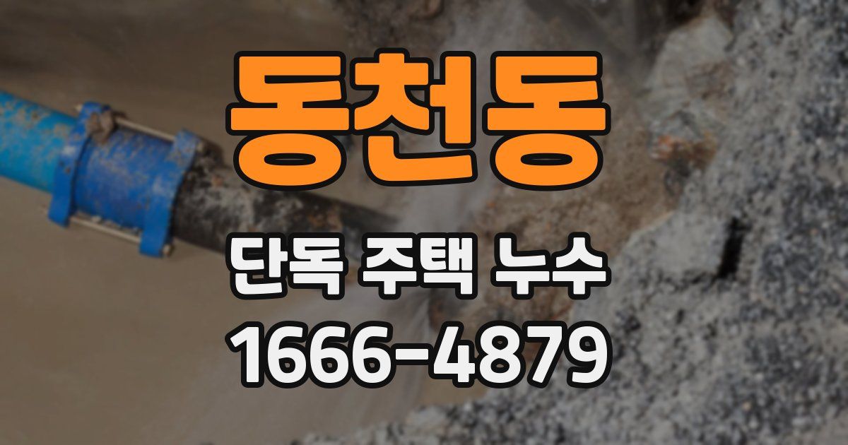 동천동 단독 주택 누수