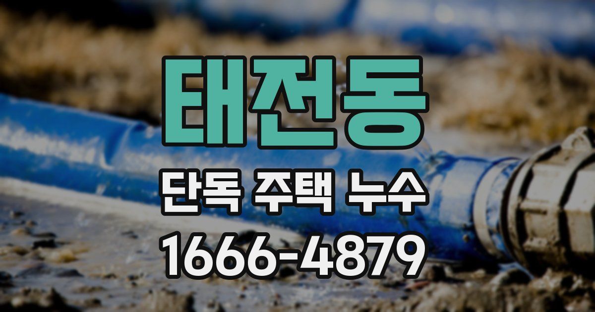 태전동 단독 주택 누수
