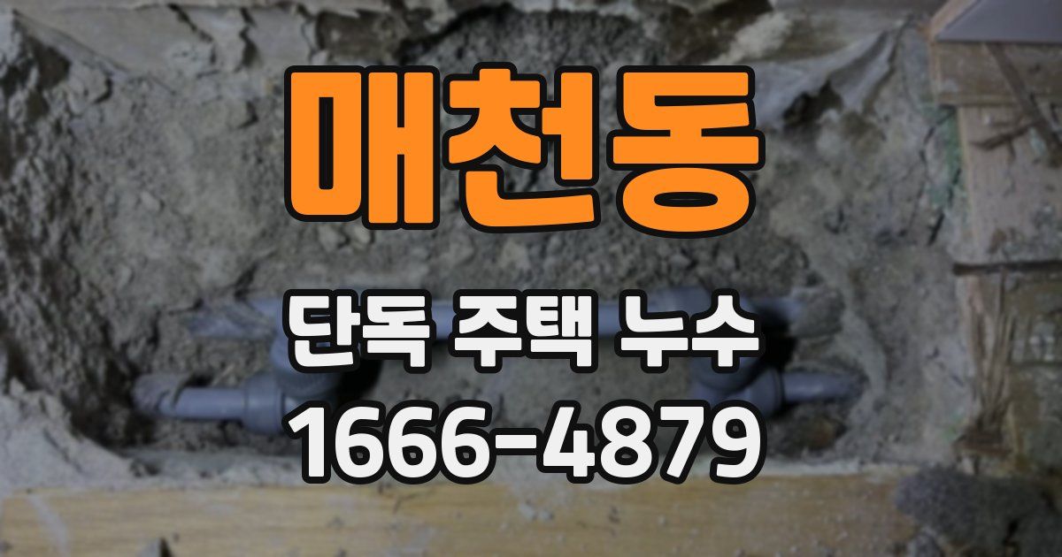 매천동 단독 주택 누수