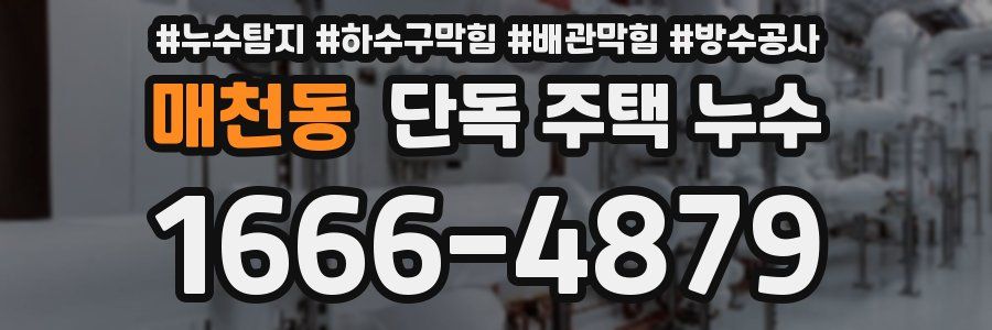 매천동 단독 주택 누수