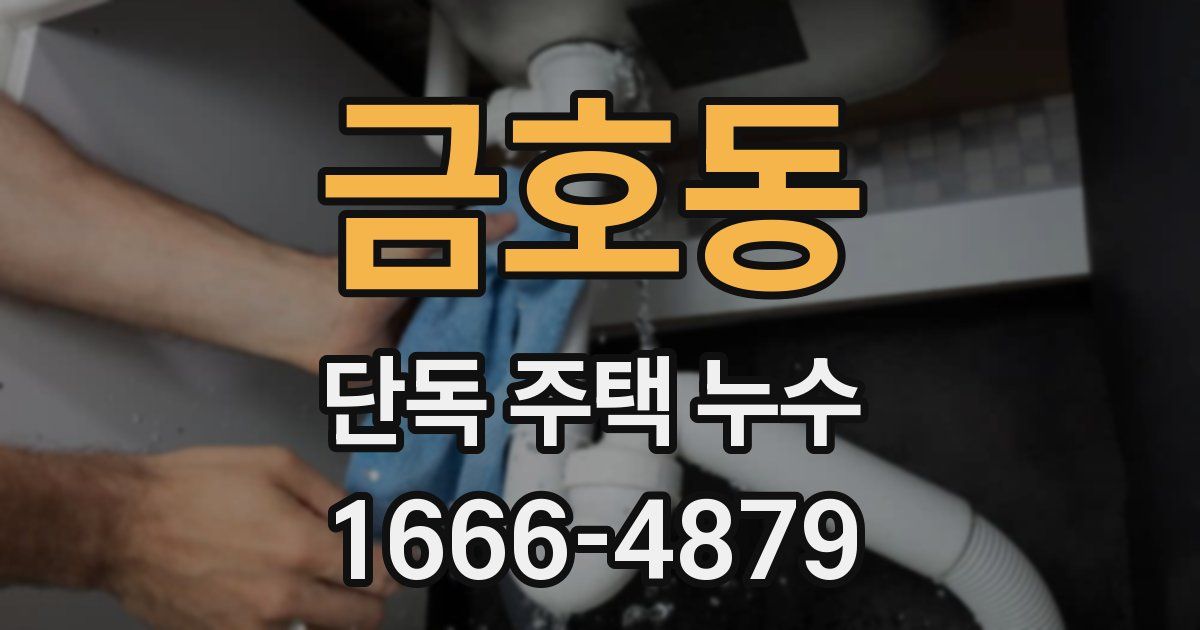 금호동 단독 주택 누수