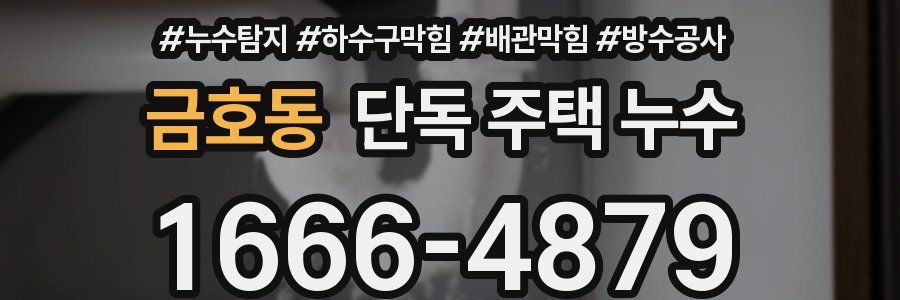 금호동 단독 주택 누수