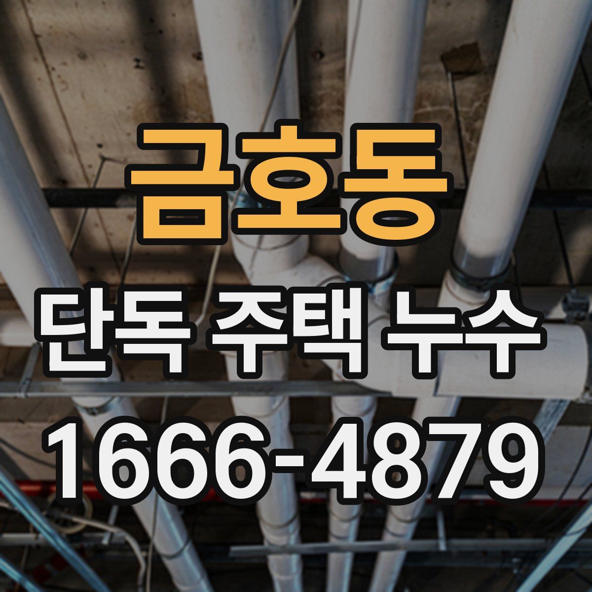 금호동 단독 주택 누수