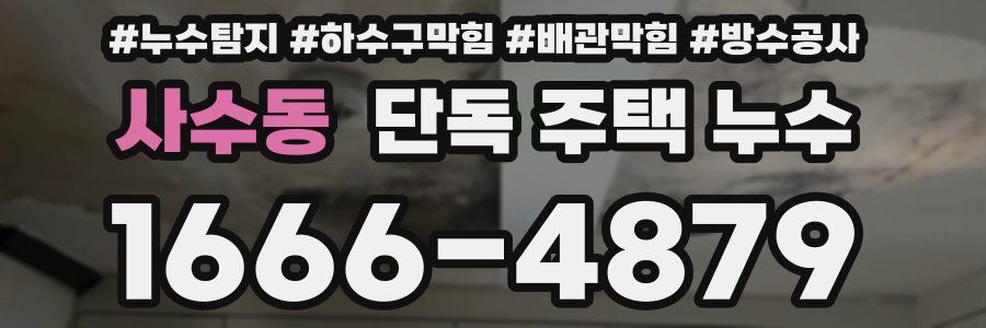 사수동 단독 주택 누수