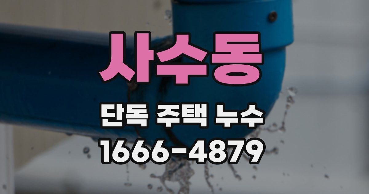 사수동 단독 주택 누수