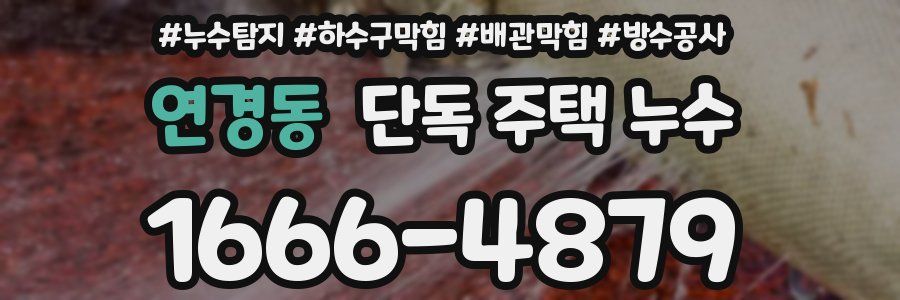 연경동 단독 주택 누수