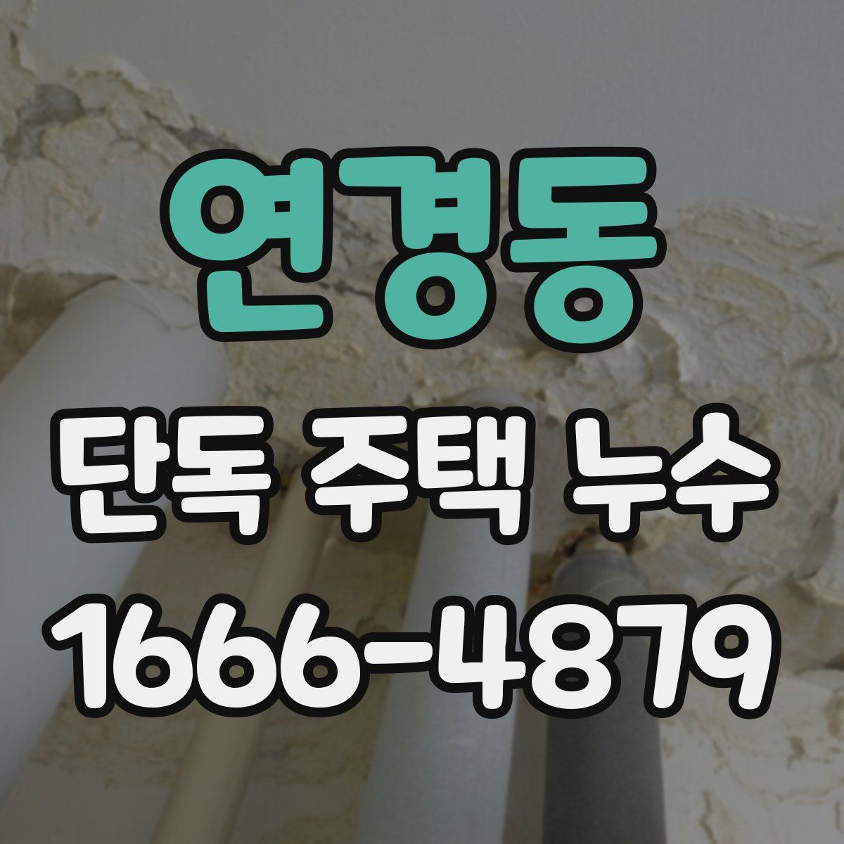 연경동 단독 주택 누수