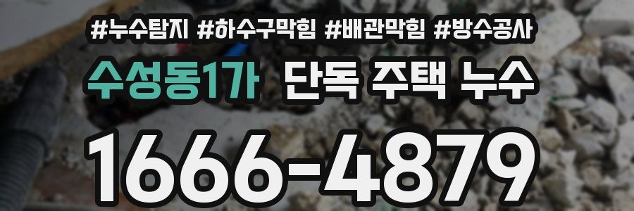 수성동1가 단독 주택 누수
