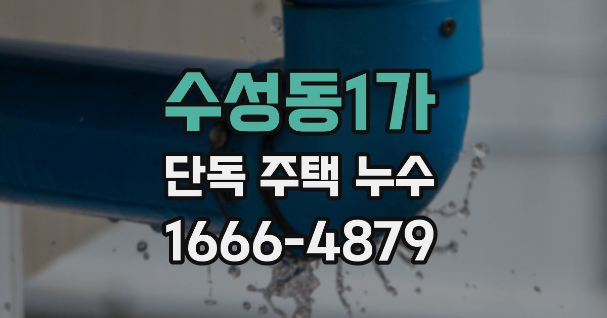 수성동1가 단독 주택 누수