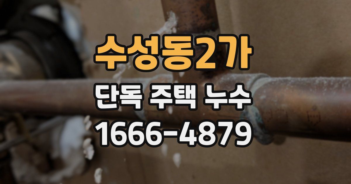 수성동2가 단독 주택 누수