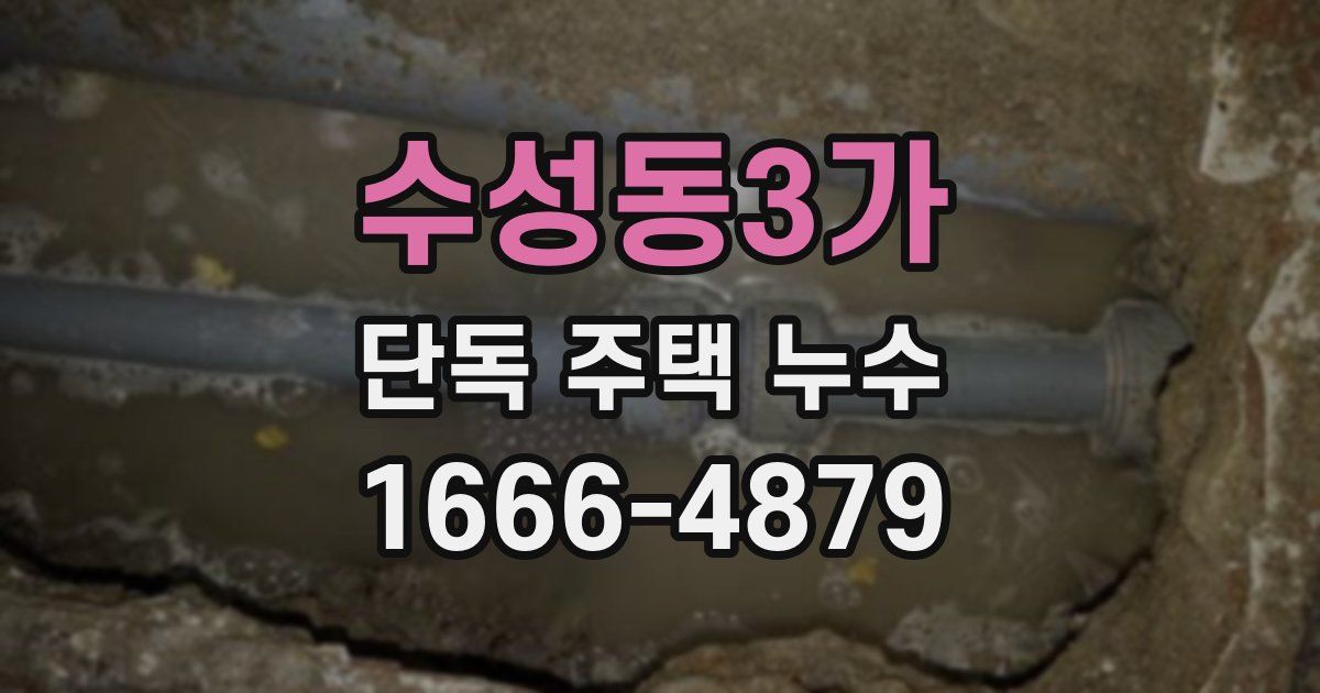 수성동3가 단독 주택 누수