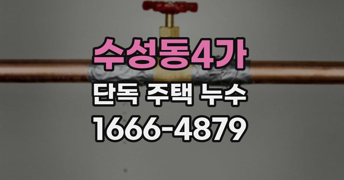 수성동4가 단독 주택 누수