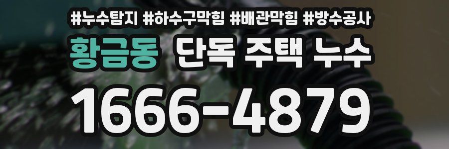 황금동 단독 주택 누수