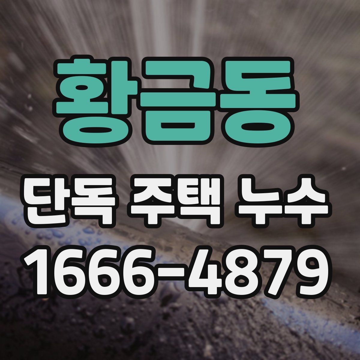 황금동 단독 주택 누수