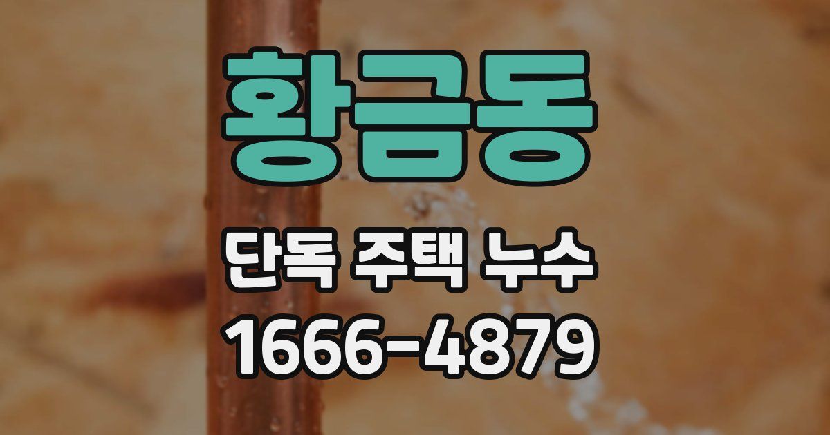 황금동 단독 주택 누수