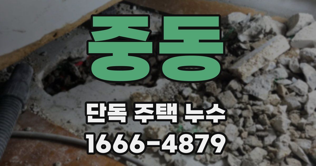 중동 단독 주택 누수