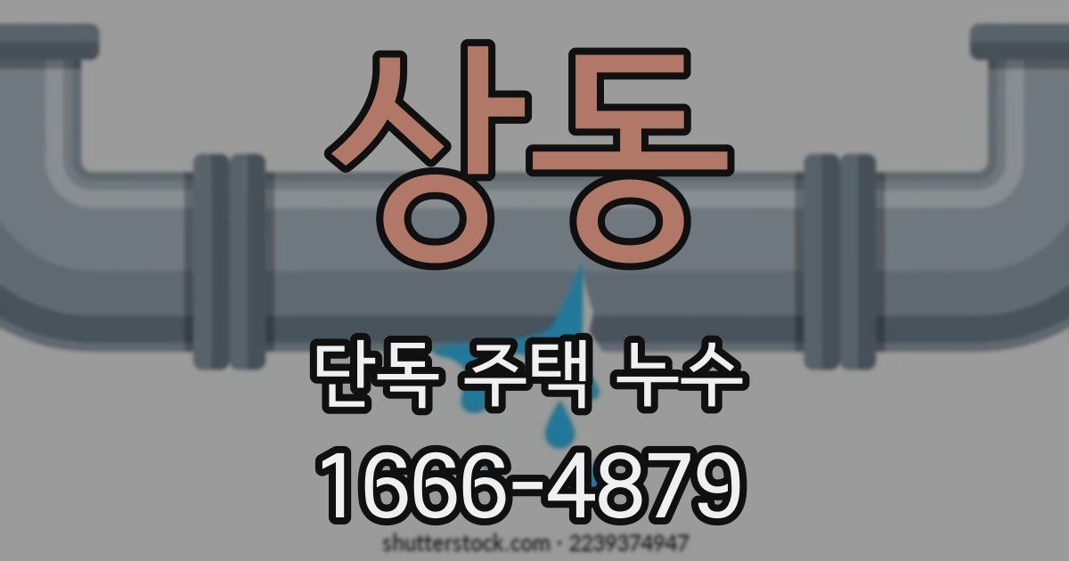 상동 단독 주택 누수