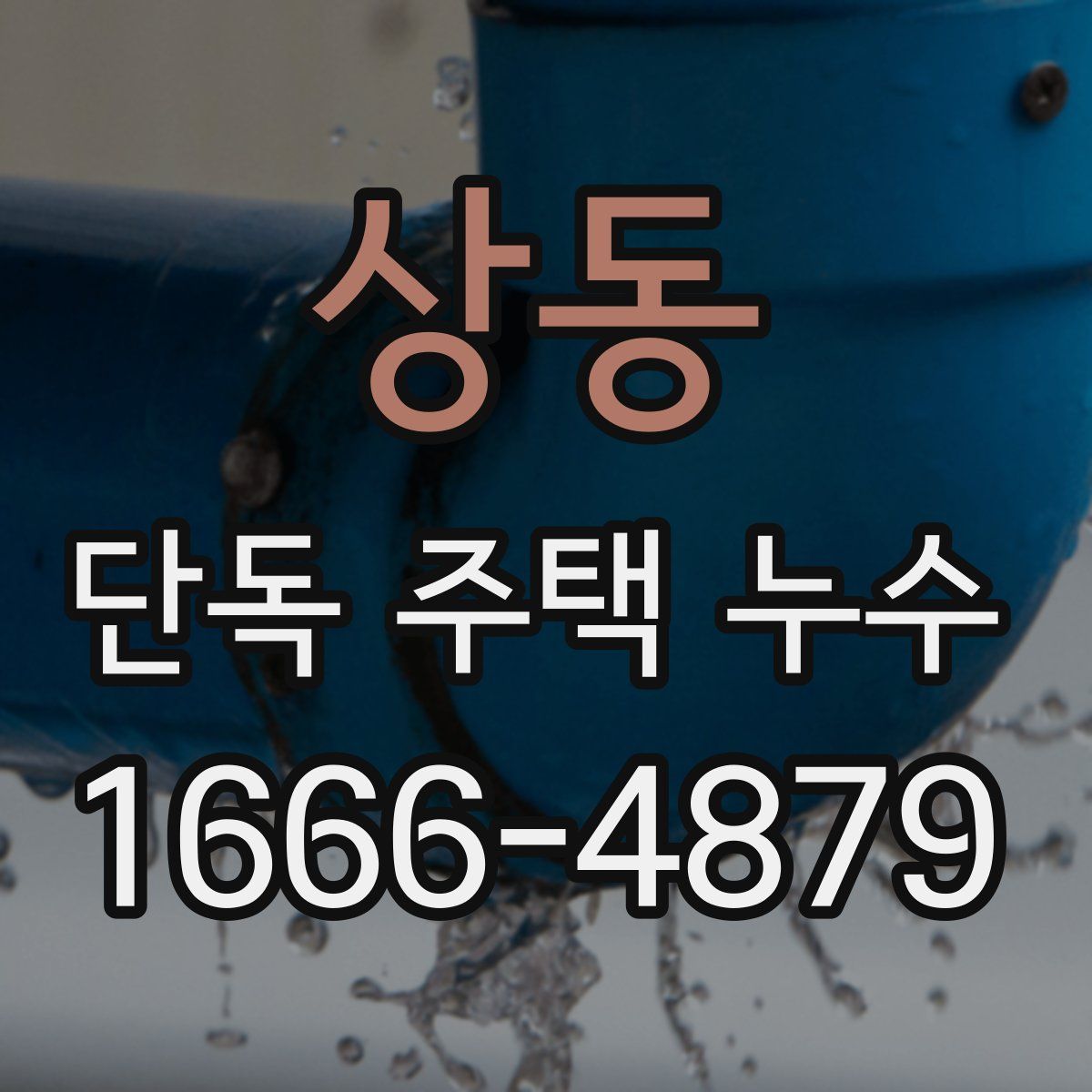상동 단독 주택 누수