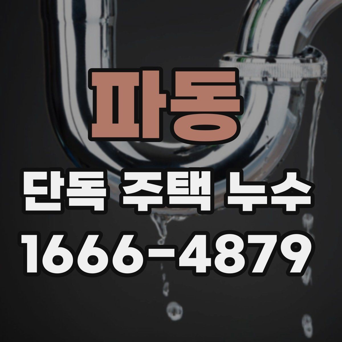 파동 단독 주택 누수 진단이 필요한 상황