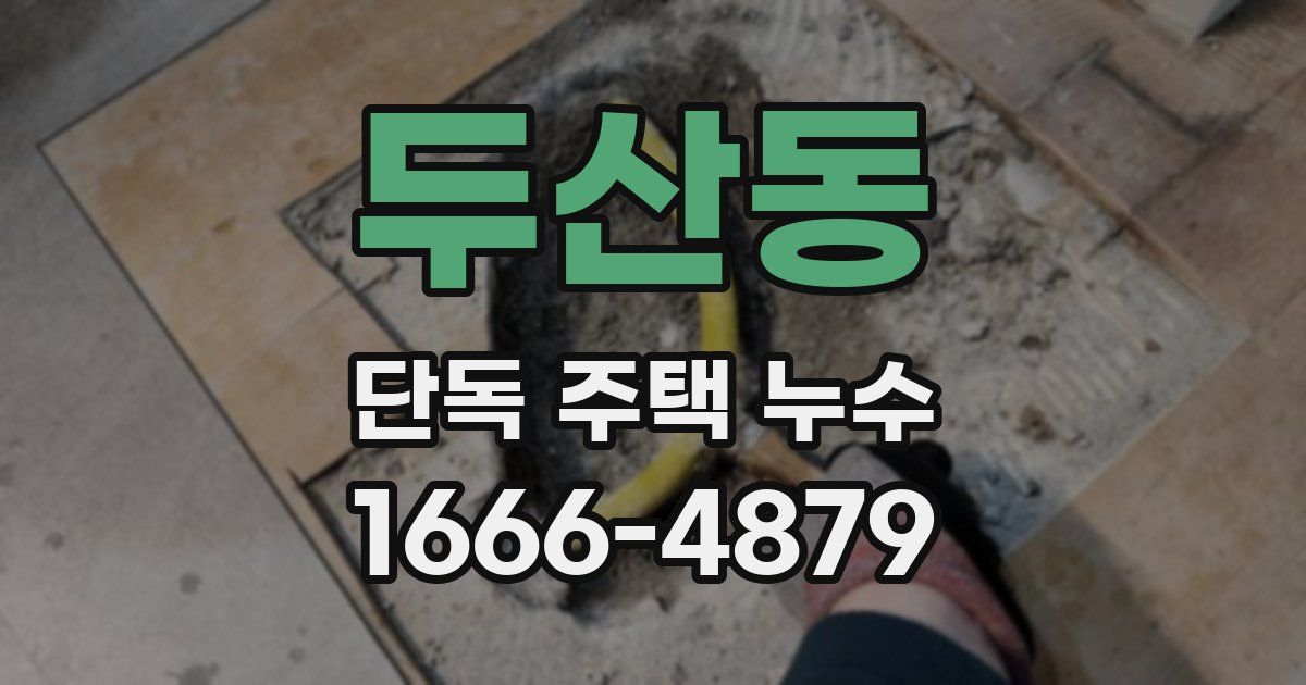 두산동 단독 주택 누수