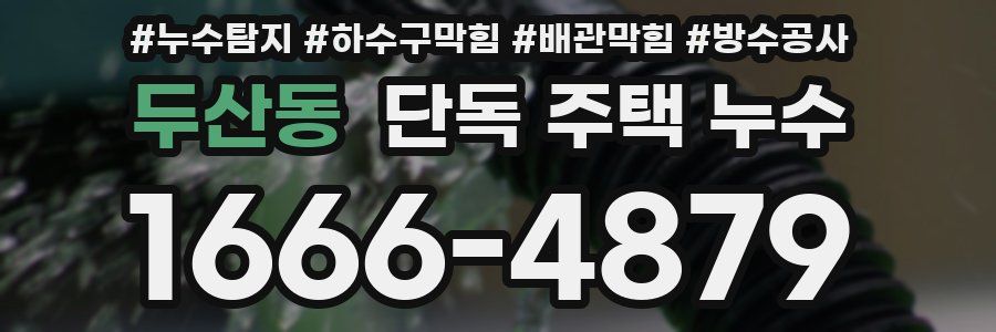 두산동 단독 주택 누수