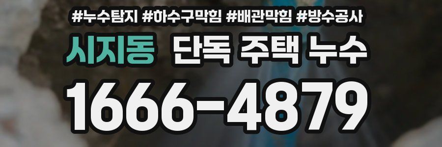 시지동 단독 주택 누수