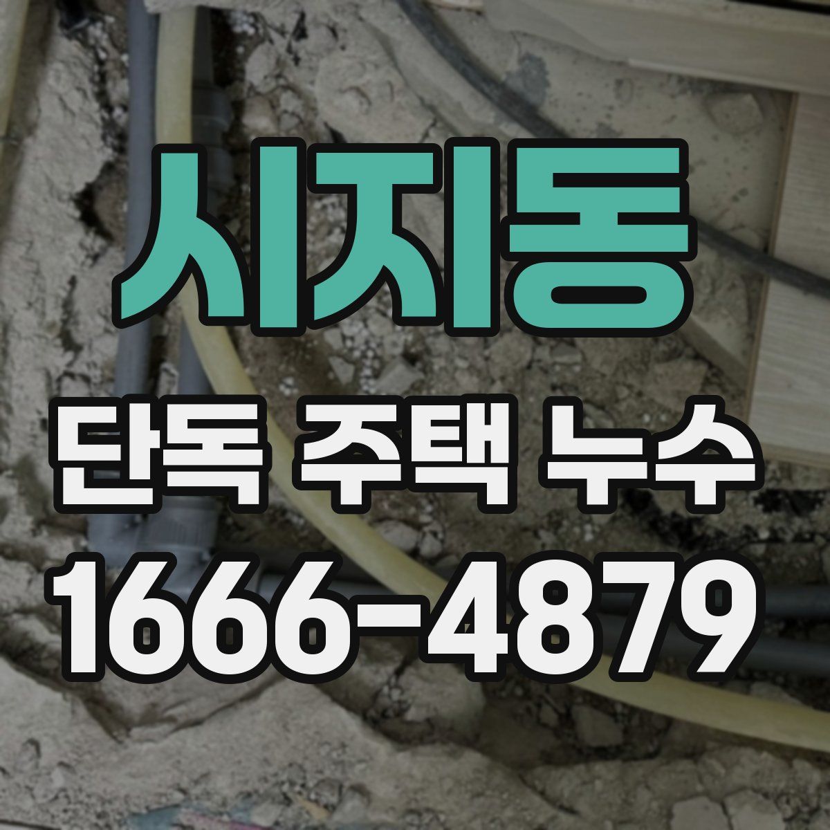 시지동 단독 주택 누수