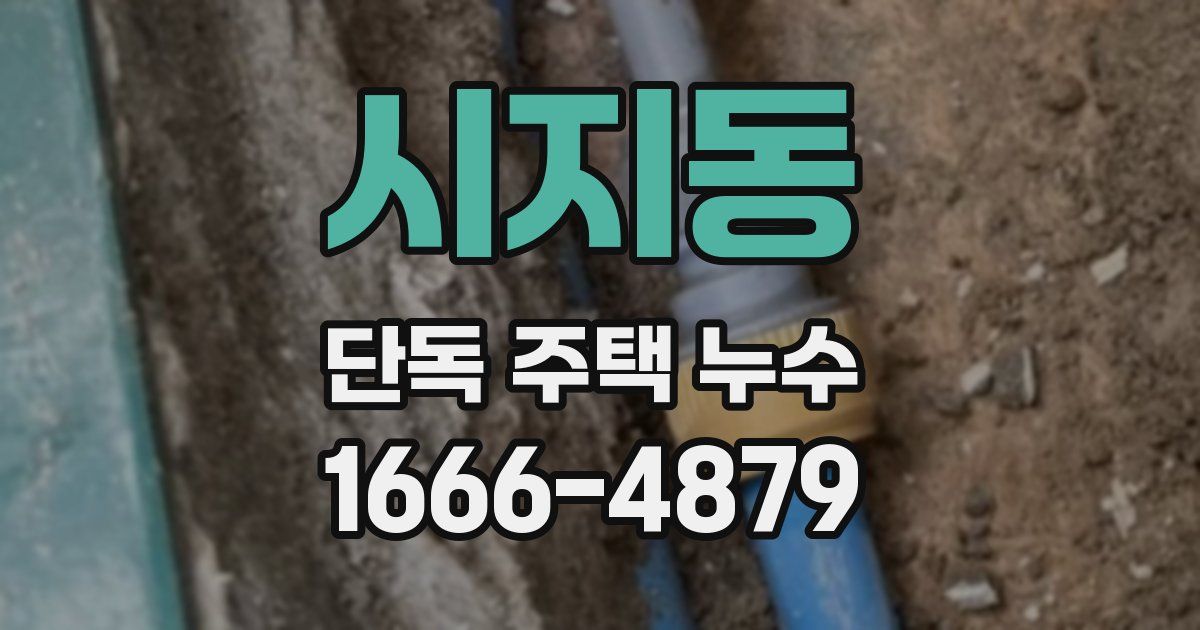 시지동 단독 주택 누수