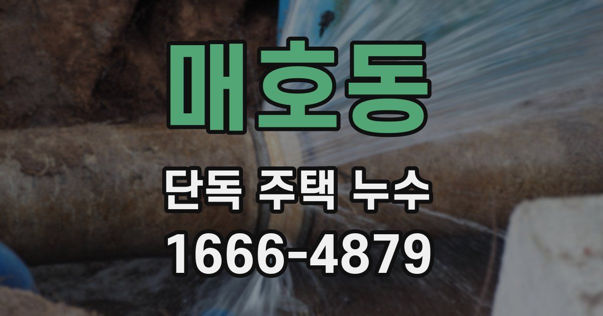 매호동 단독 주택 누수