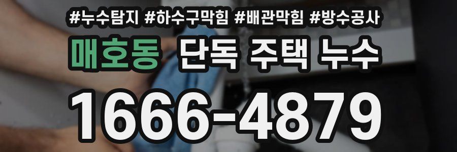 매호동 단독 주택 누수