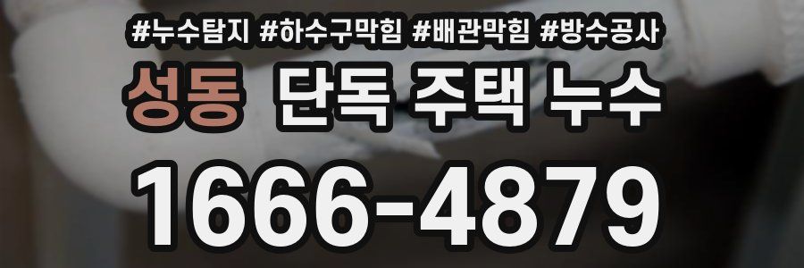 성동 단독 주택 누수