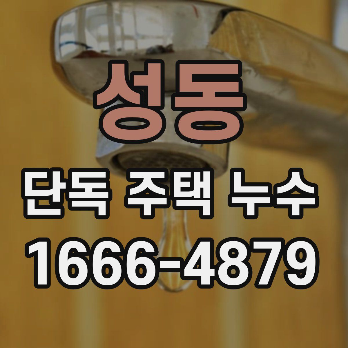 성동 단독 주택 누수