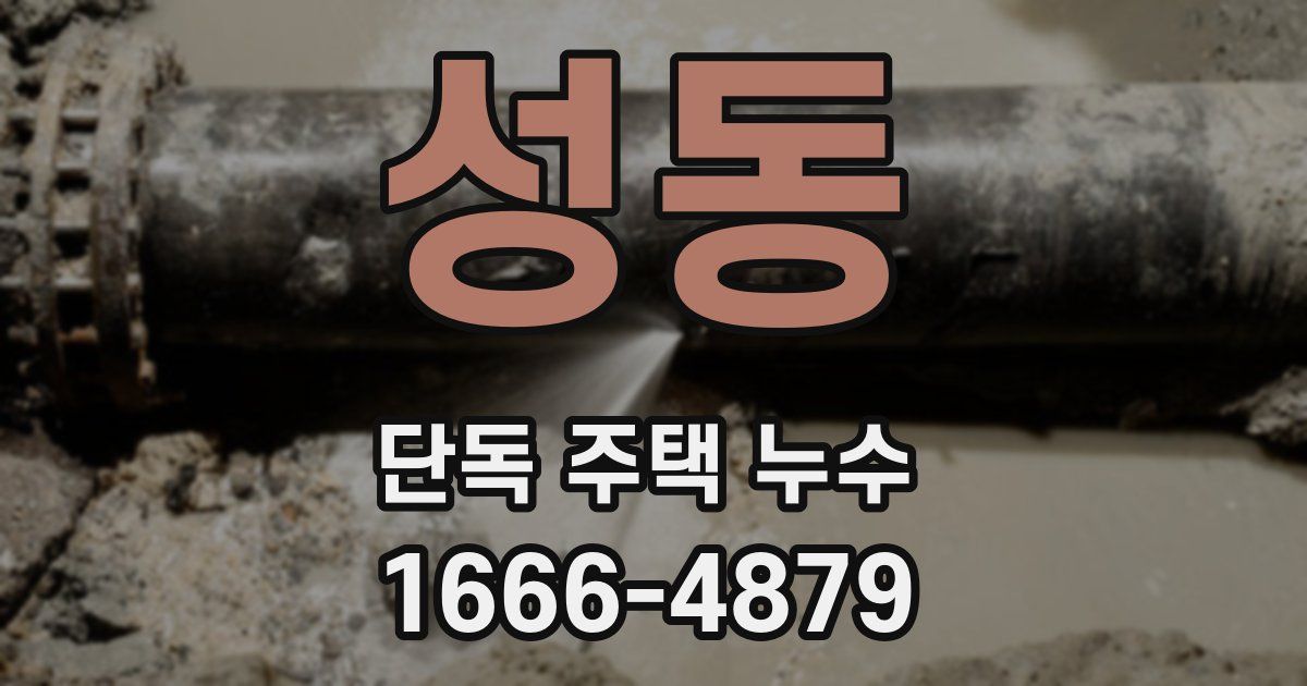 성동 단독 주택 누수