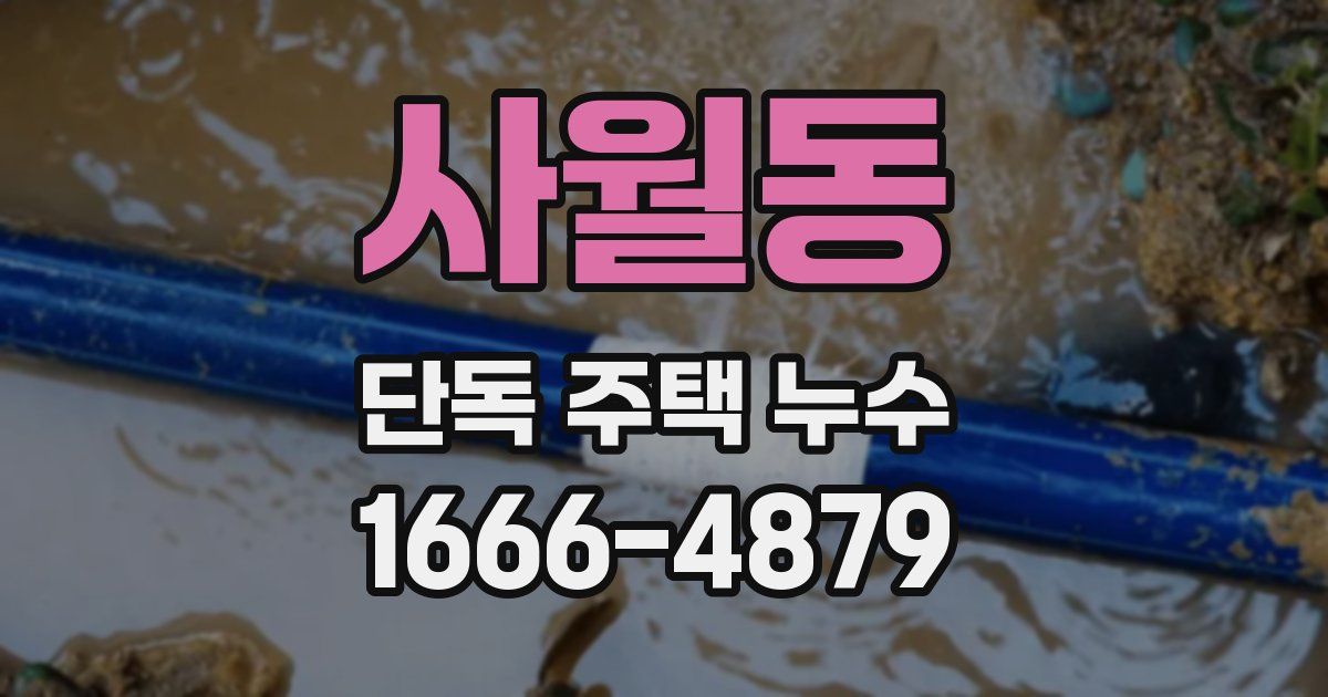사월동 단독 주택 누수