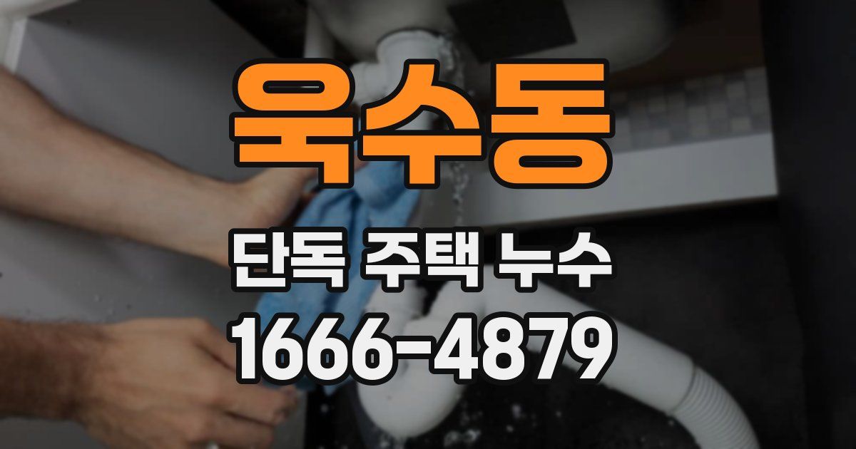 욱수동 단독 주택 누수