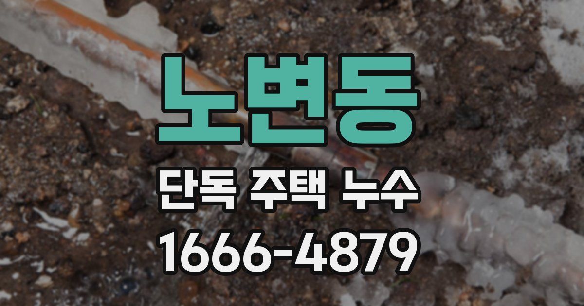 노변동 단독 주택 누수