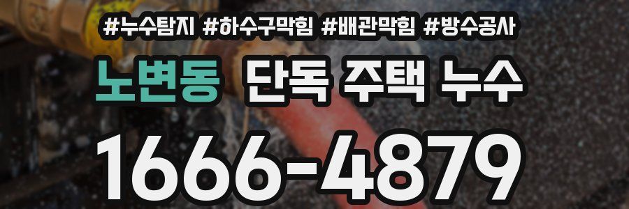 노변동 단독 주택 누수