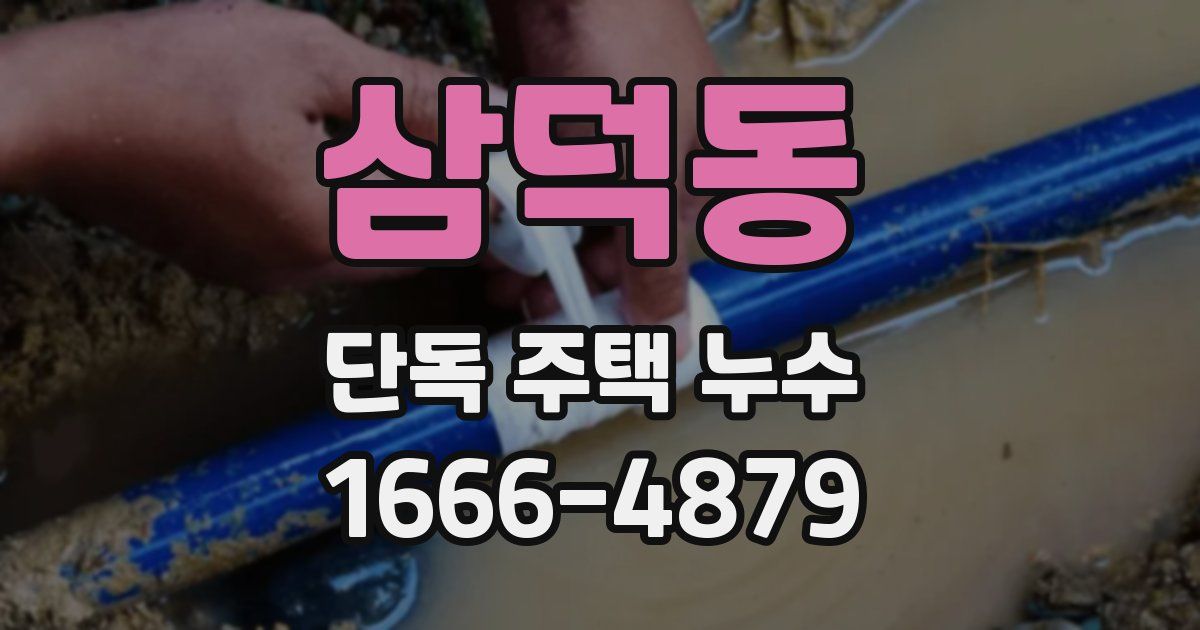 삼덕동 단독 주택 누수