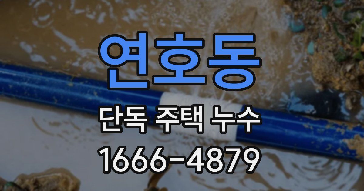 연호동 단독 주택 누수
