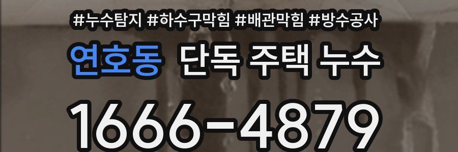 연호동 단독 주택 누수