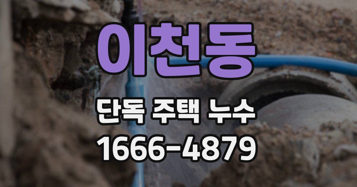 이천동 단독 주택 누수